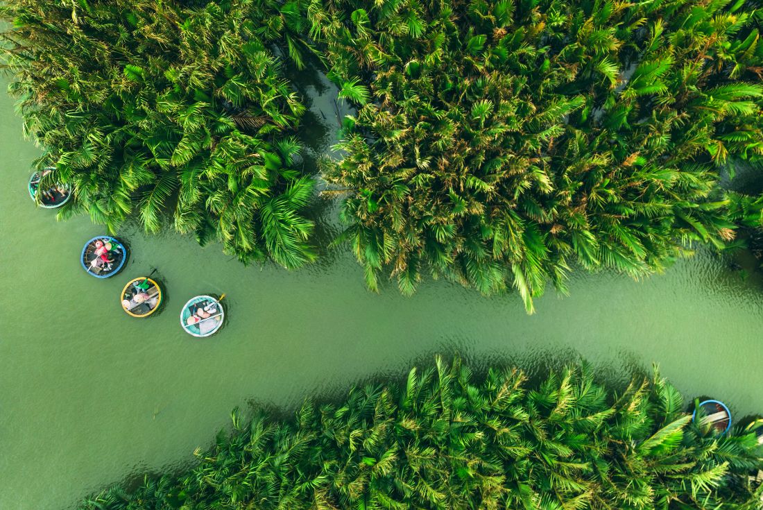 Bay Mau Coconut Forest